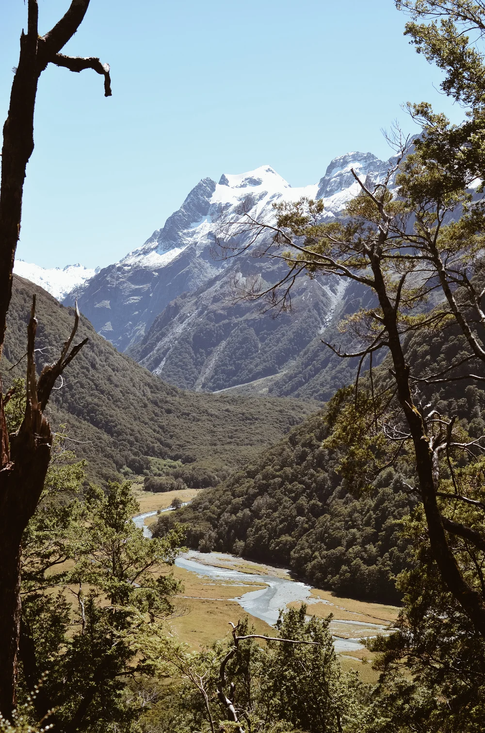 routeburn+track+new+zealand+kate+parrish+life+on+pine_DSC_0636.jpg