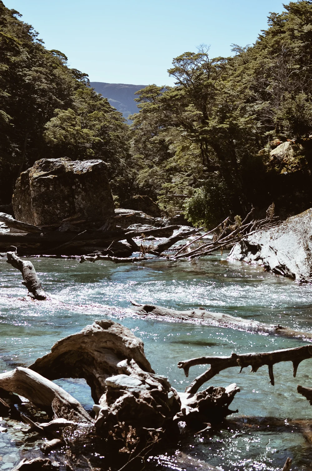 routeburn+track+new+zealand+kate+parrish+life+on+pine_DSC_0613.jpg