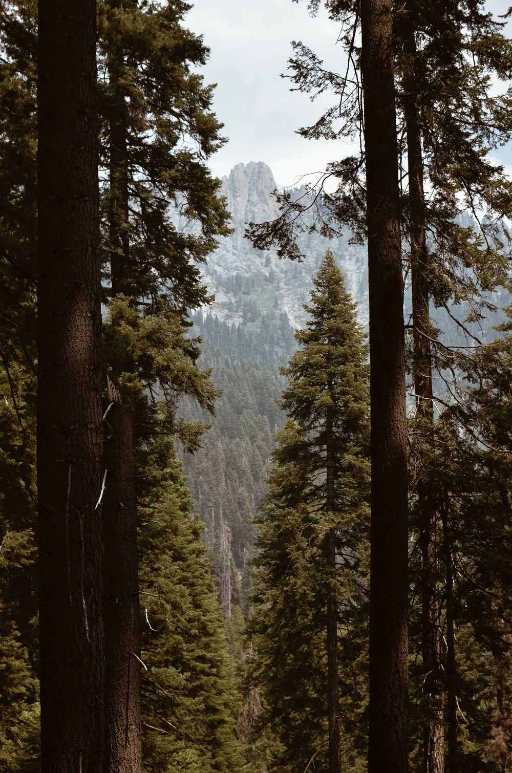 bear+paw+high+sierra+camp+kate+parrish_DSC_0652.jpg