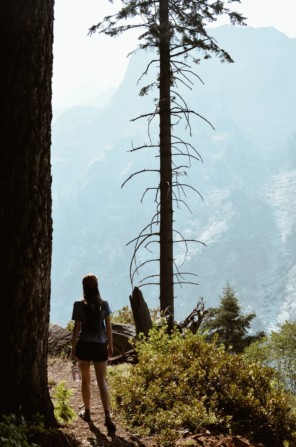 bear+paw+high+sierra+camp+kate+parrish_DSC_0761.jpg