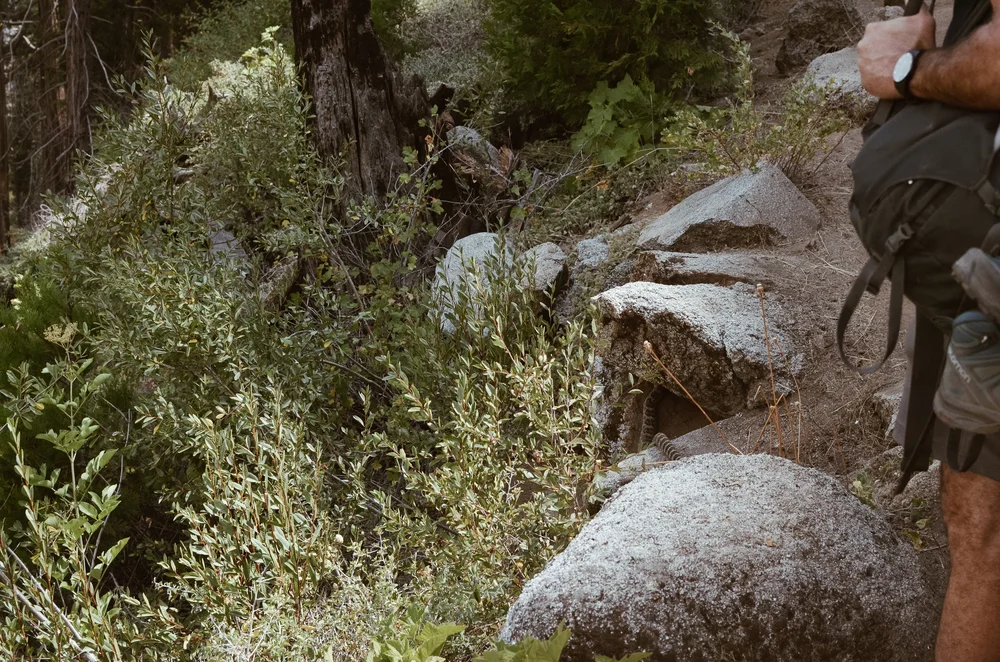 bear+paw+high+sierra+camp+kate+parrish_DSC_0912.jpg