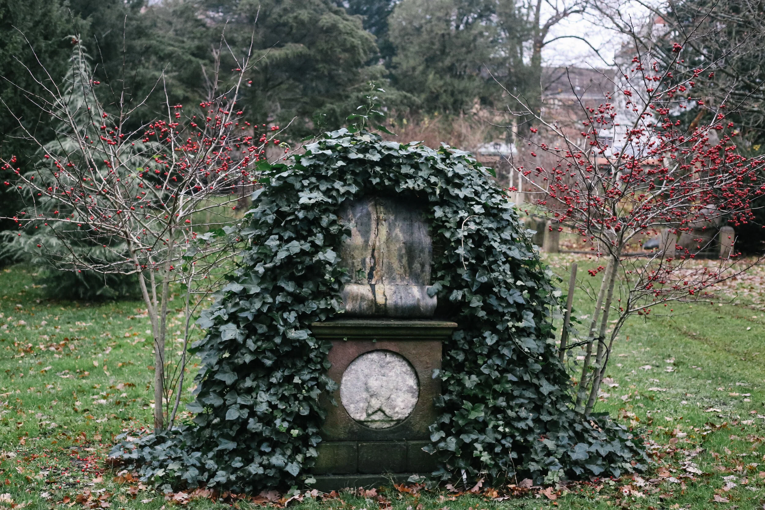 copenhagen + life + on + pine _IMG_8310.jpg