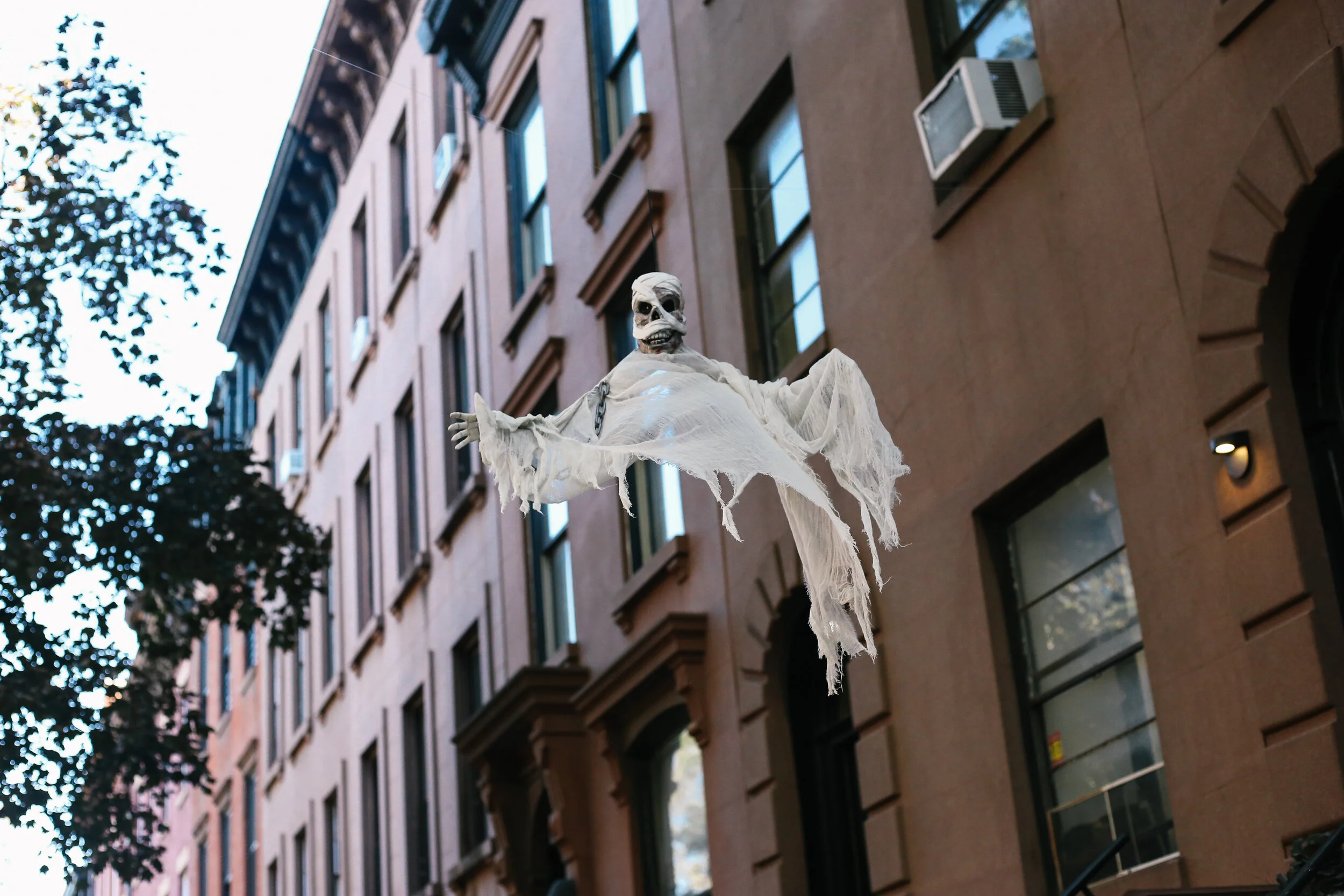 brooklyn + life + on + pine _IMG_7226.jpg