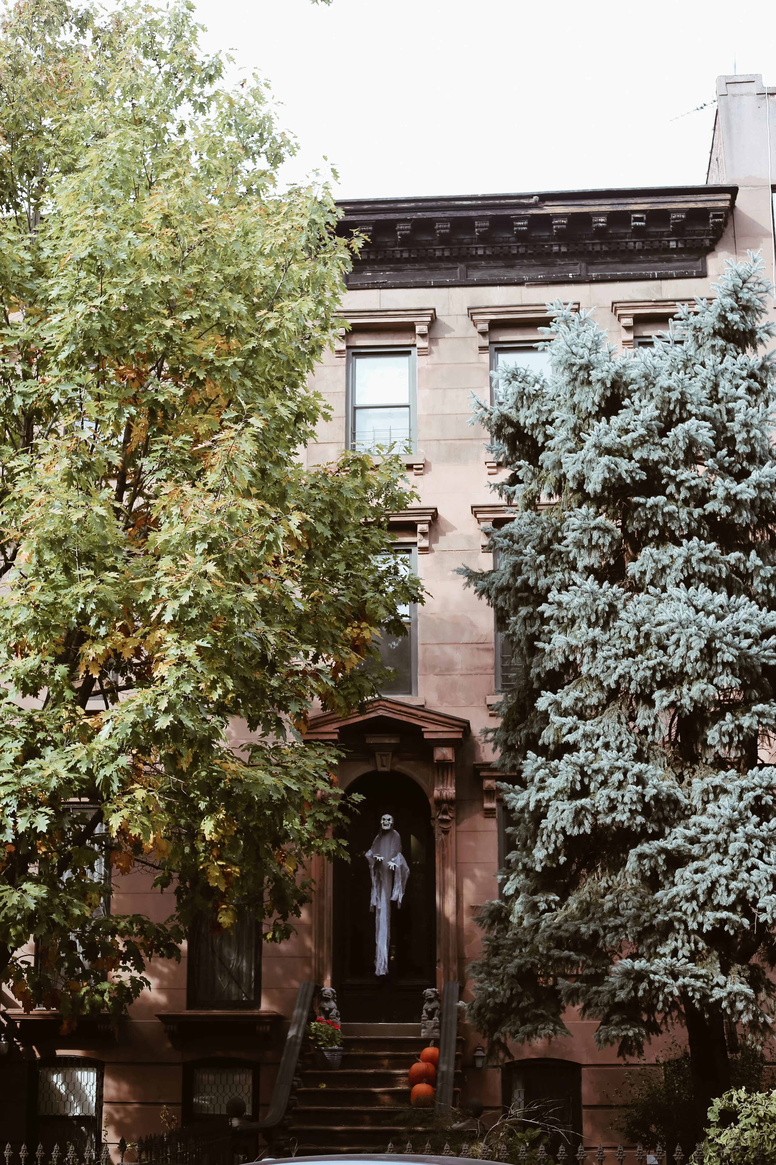 brooklyn + life + on + pine _IMG_7403.jpg