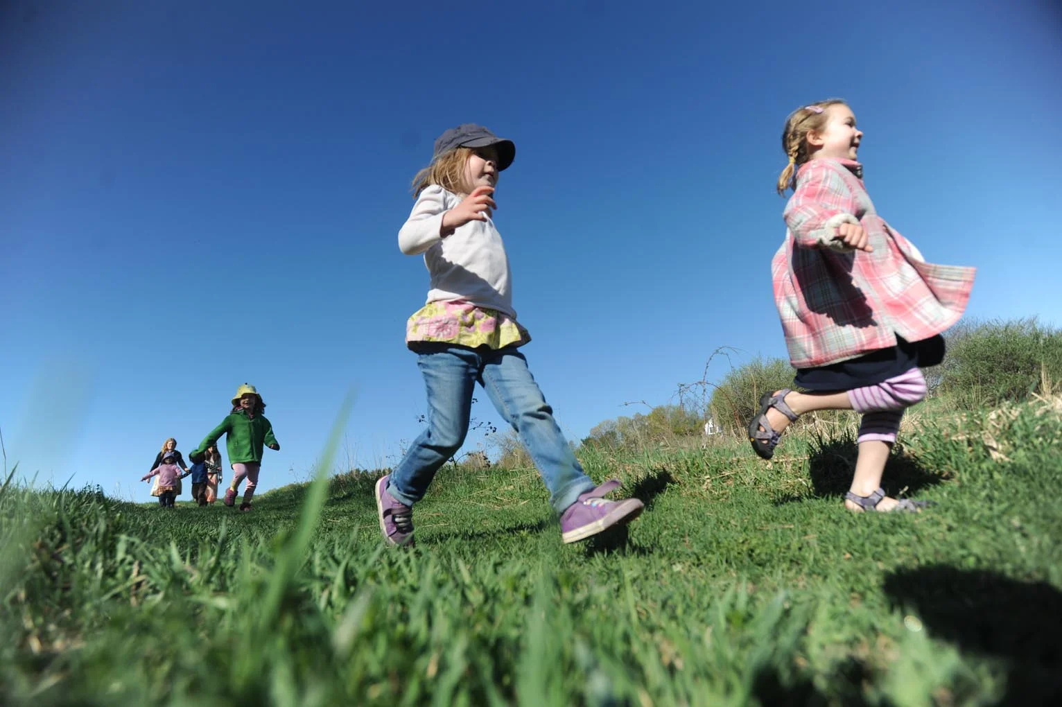 Two Summer Programs at Orchard Valley!