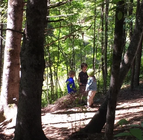 A Peek Into Our New Farm and Forest Kindergarten