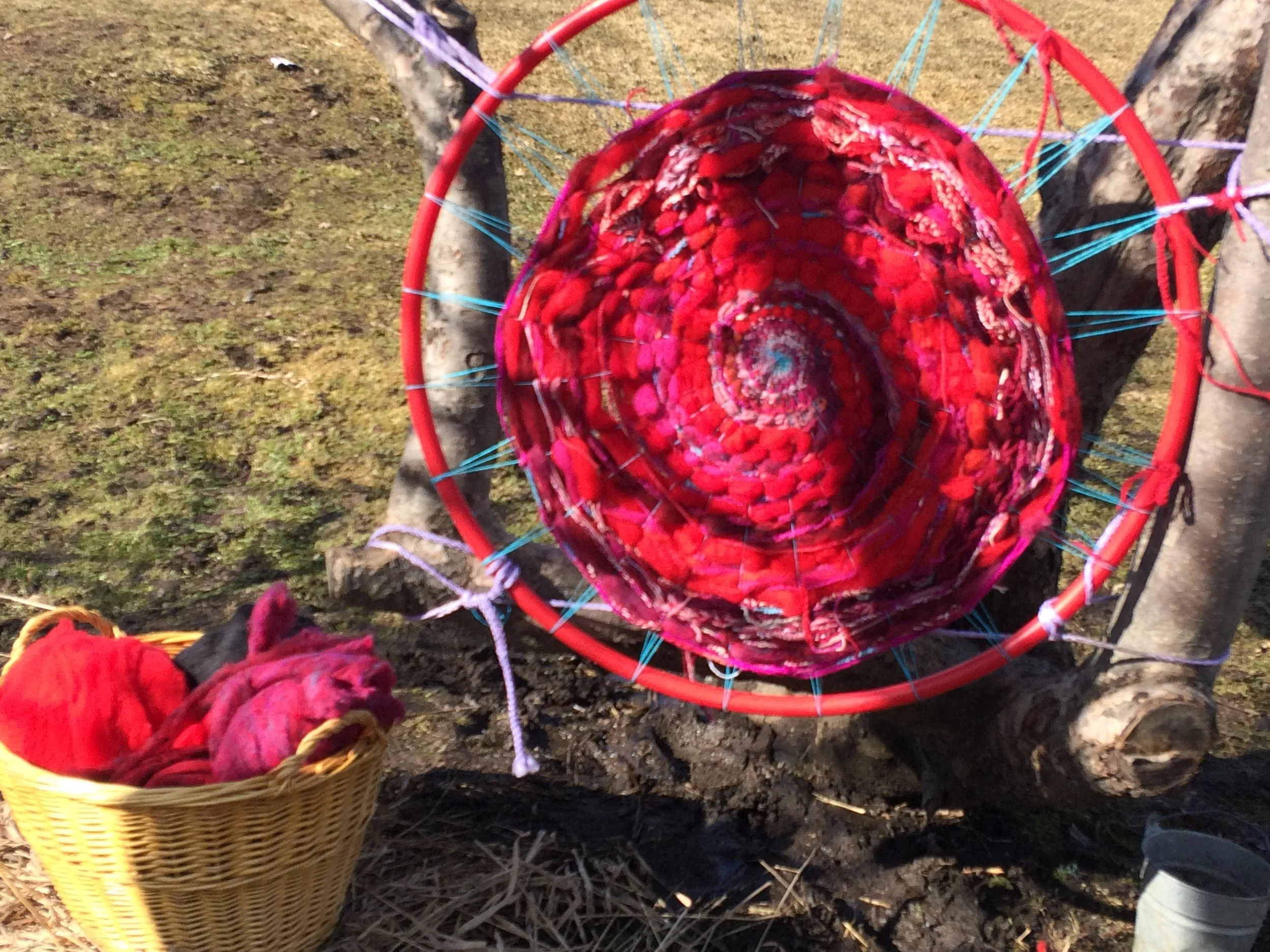 Celebrating the Contributions of Women on International Women’s Day