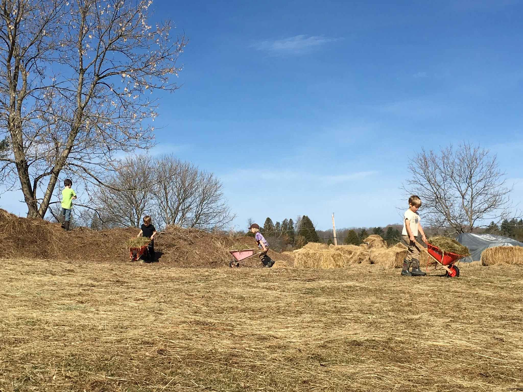Farm and Forest Children "bask in the glory that is spring!" 