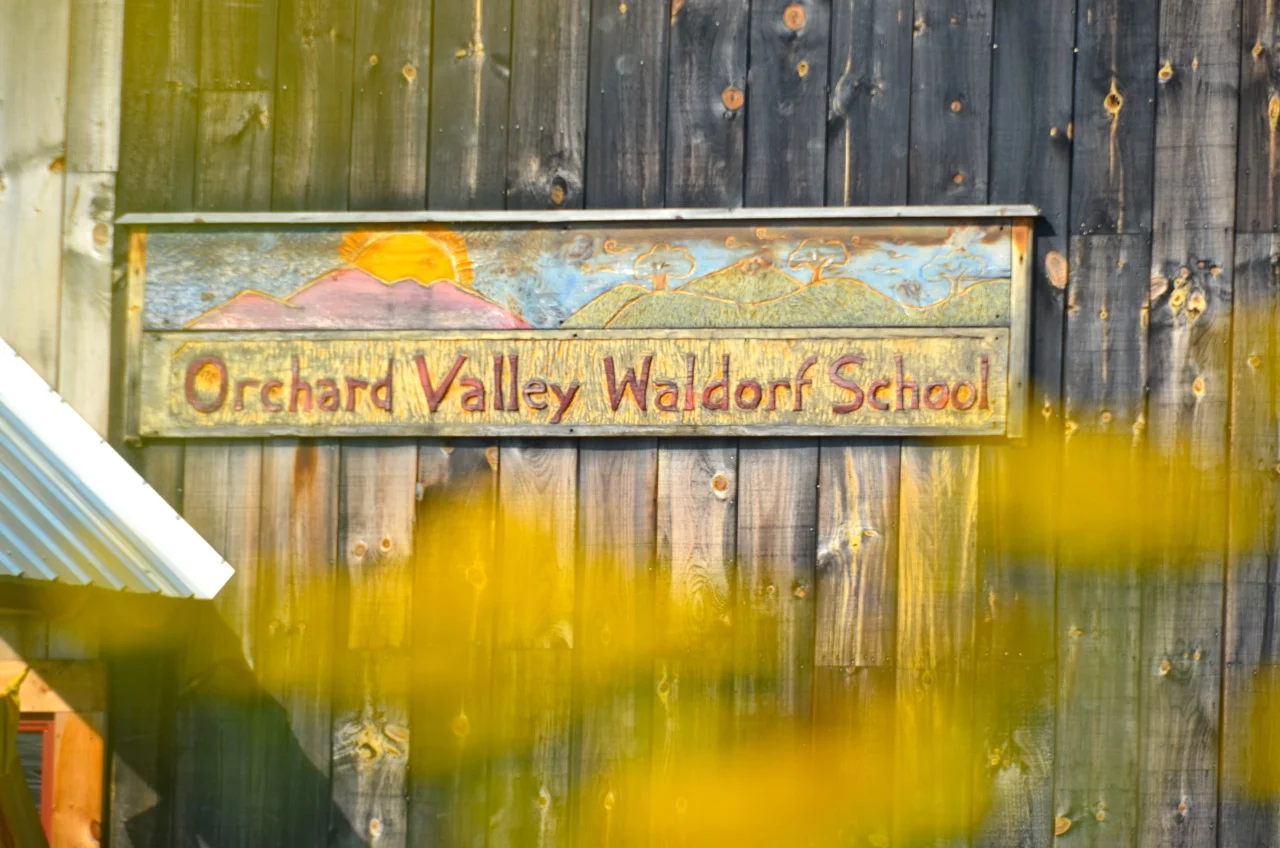 Spring Online Auction Begins Friday, March 16!