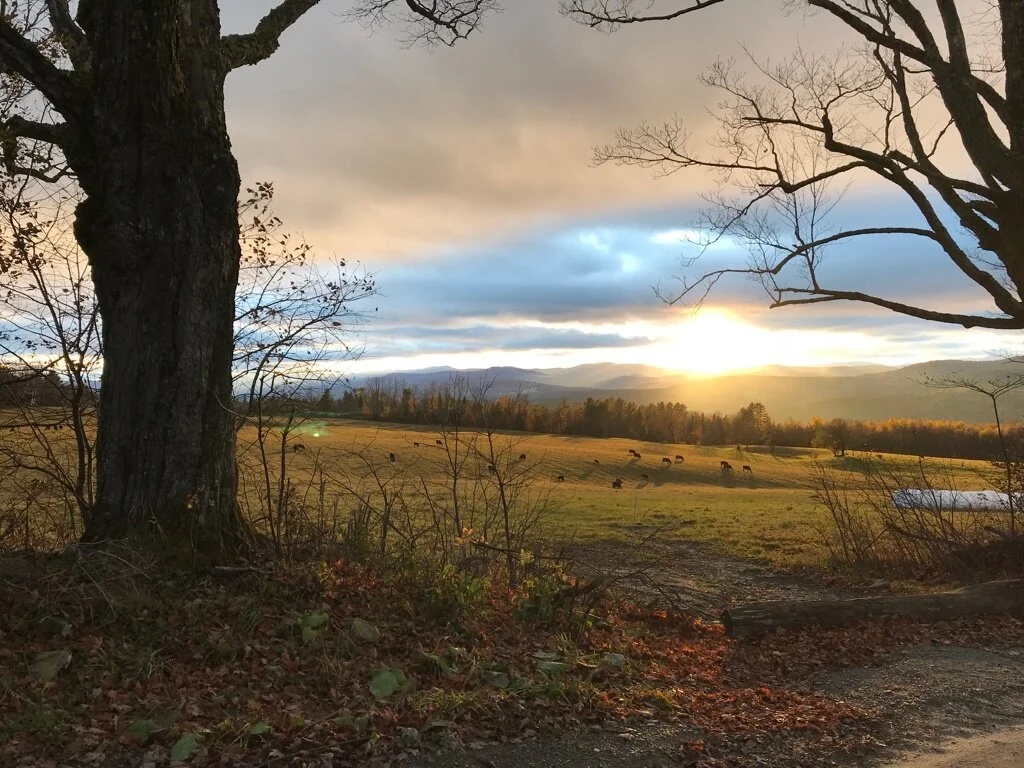 Reflections on the Outdoor Classroom