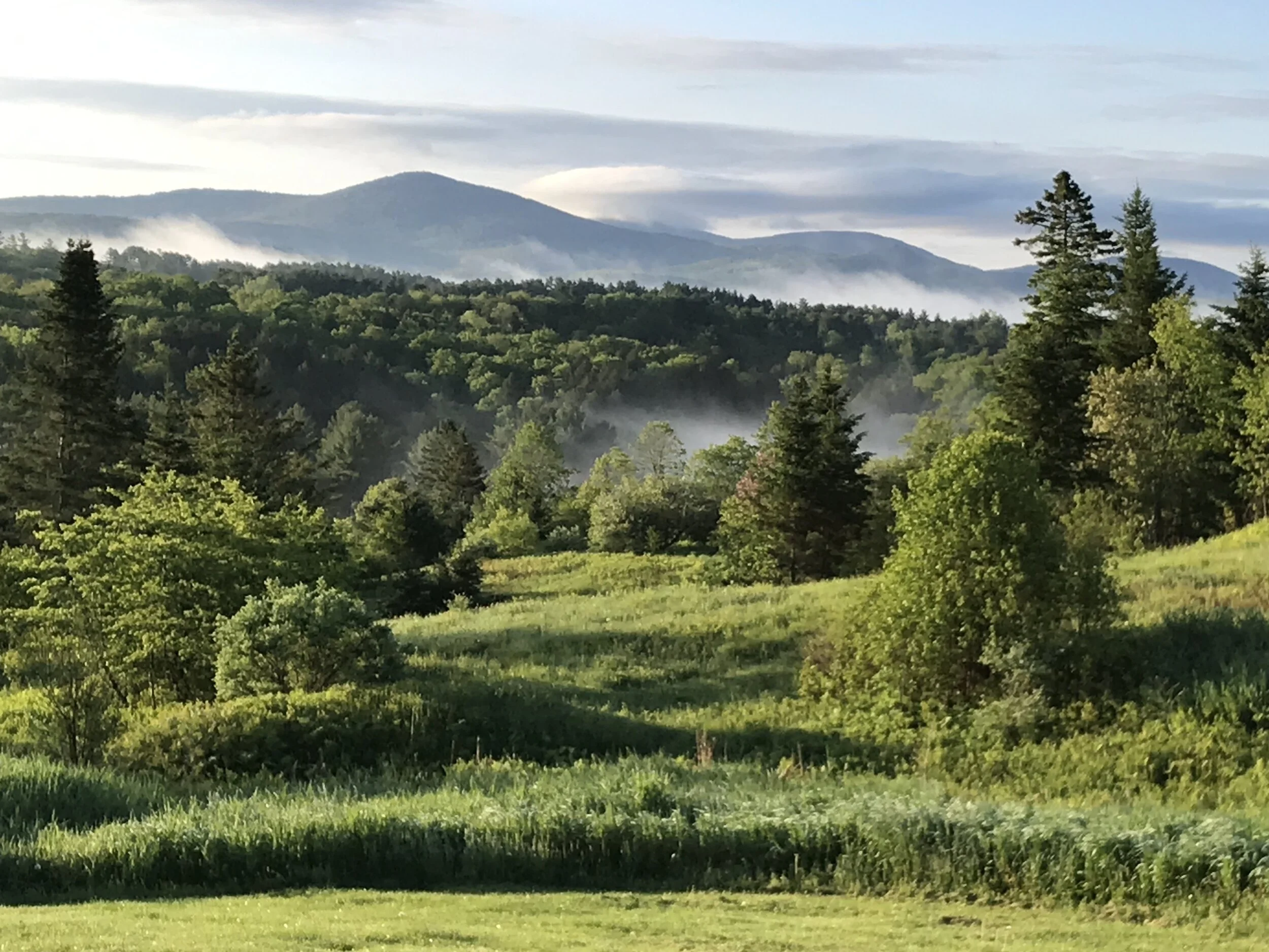 Virtual Campus Tours