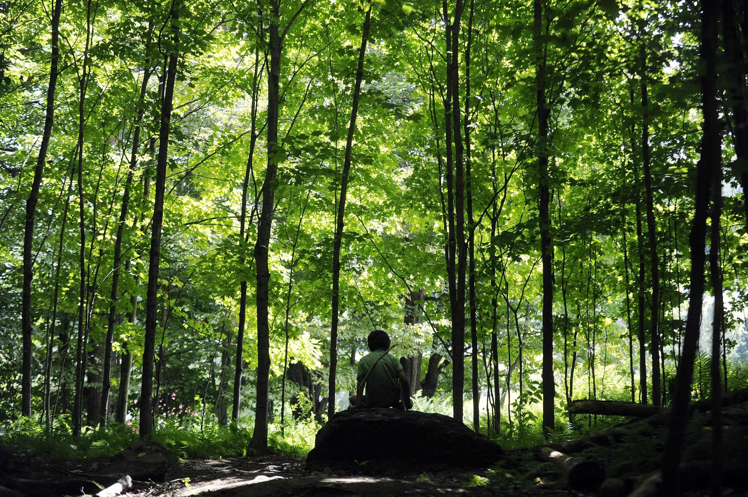 08152013_51³Ô¹ÏÍøºÚÁÏummercamp_Ericson_492.jpeg