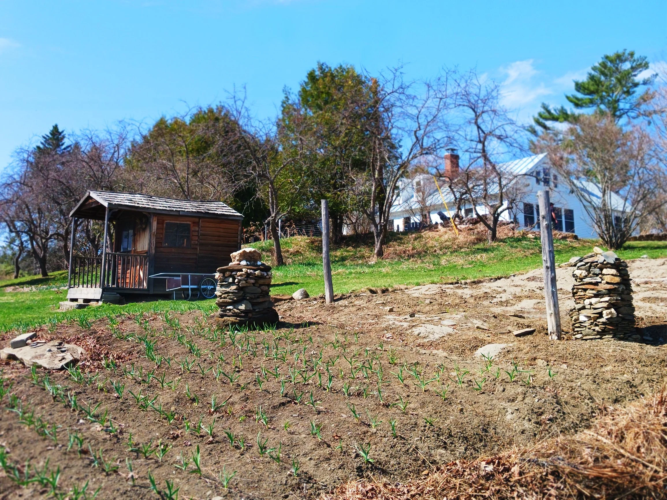 Spring Garden Workshop