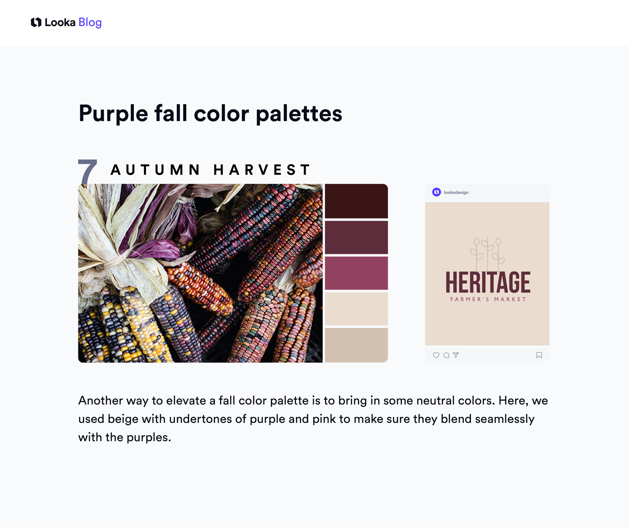 12 Fall Color Palettes to Warm Up Your Brand