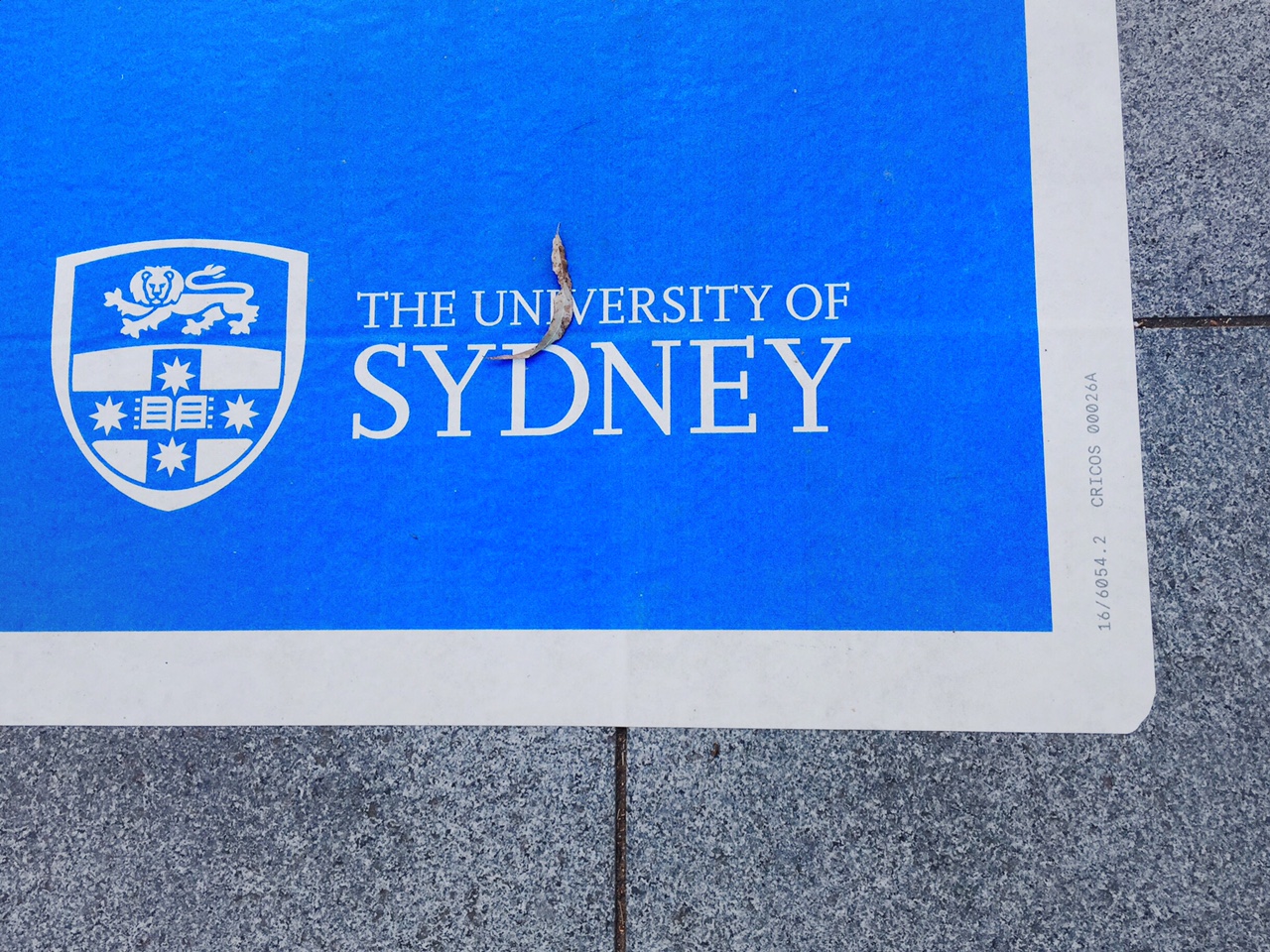 46. Uni Sydney sign