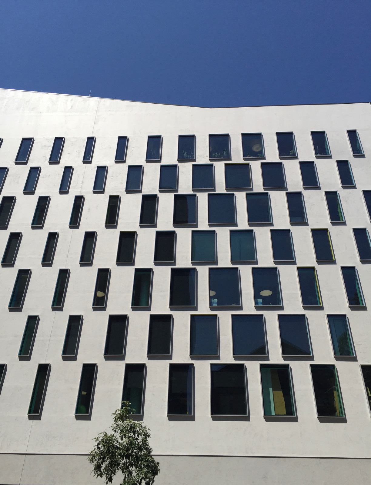 64. UTS windows