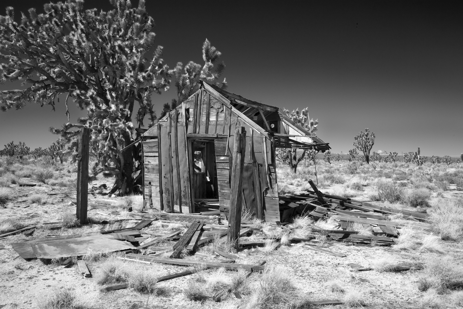 Remains of Mojave