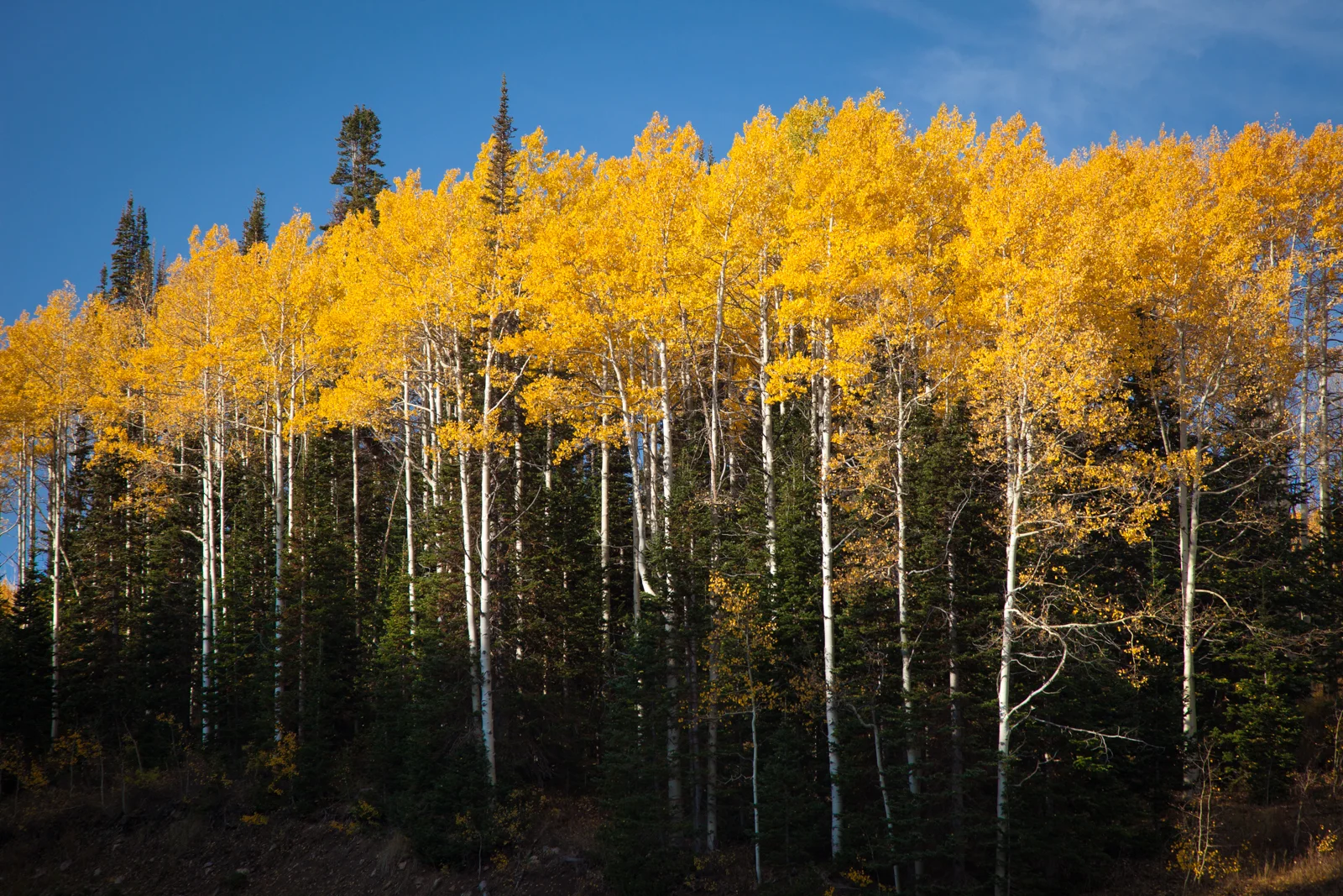 Park City in Fall