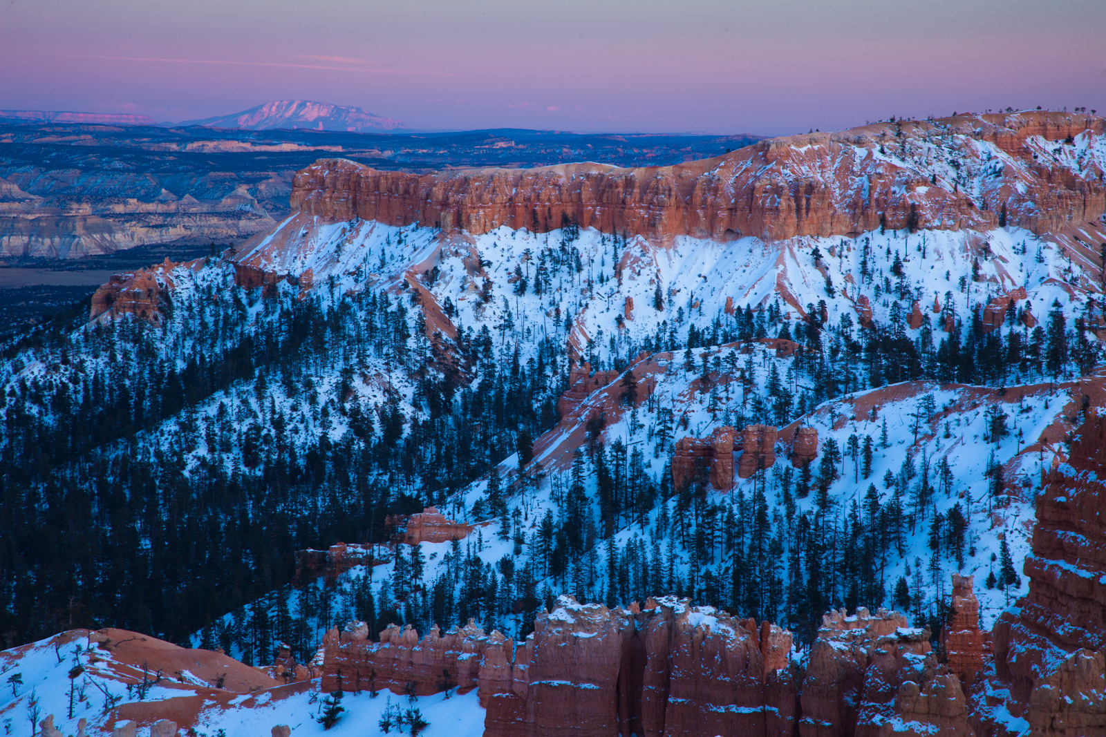 Winter's Magic