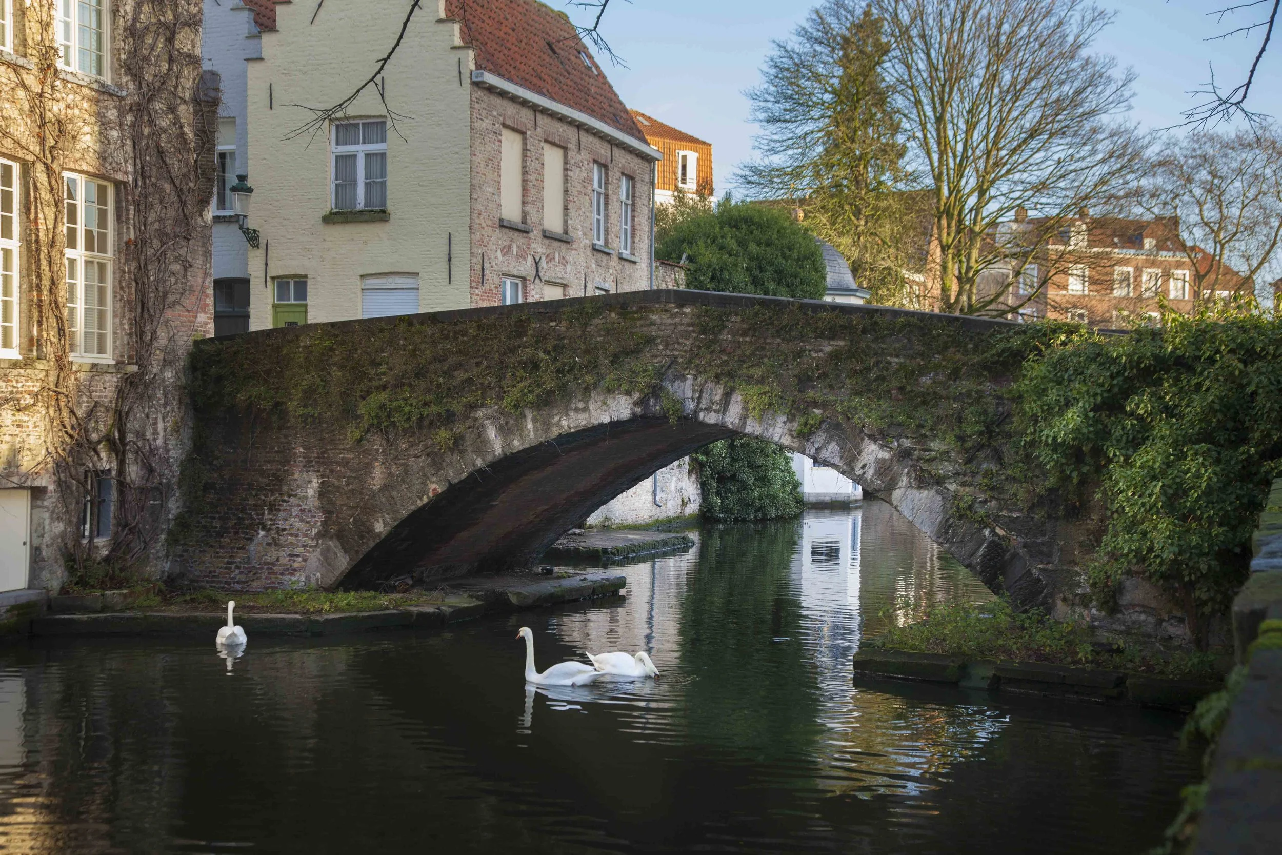 Brugge on New Year's morn