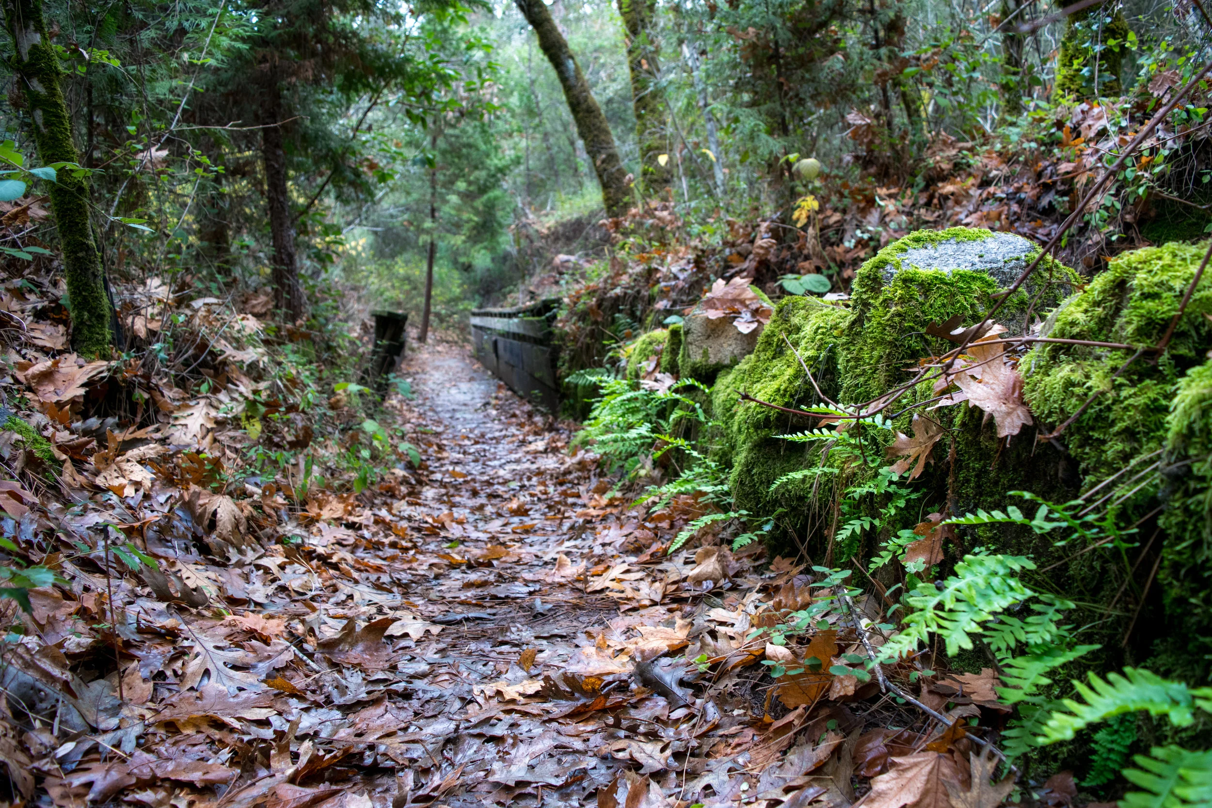 Independence Trail – East