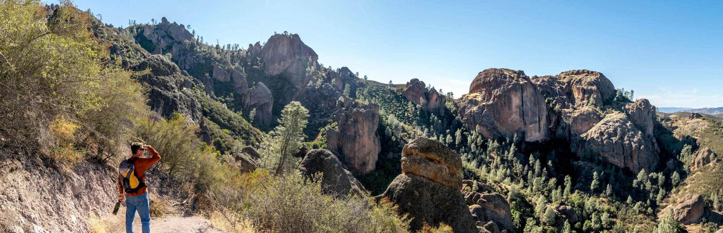 Pinnacles National Park