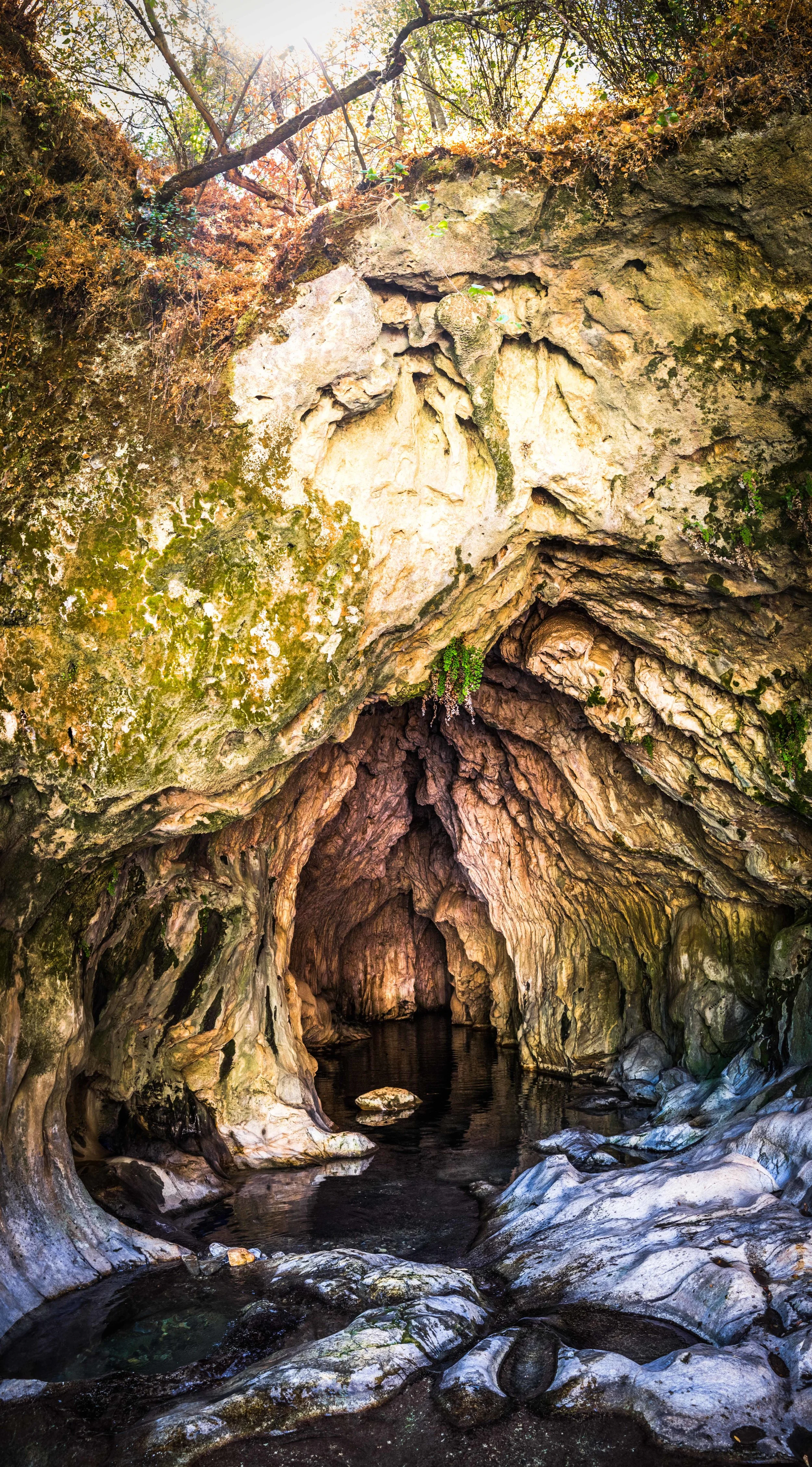 Natural Bridges, California