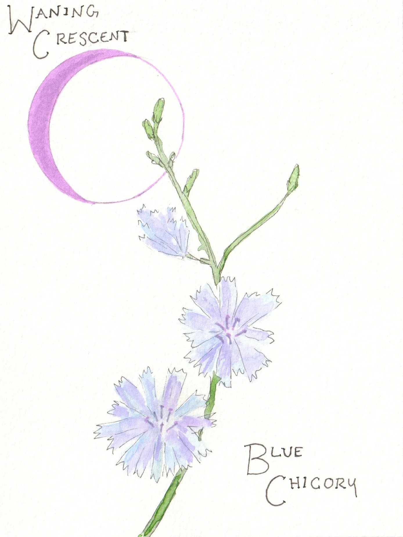 Waning Crescent.jpeg