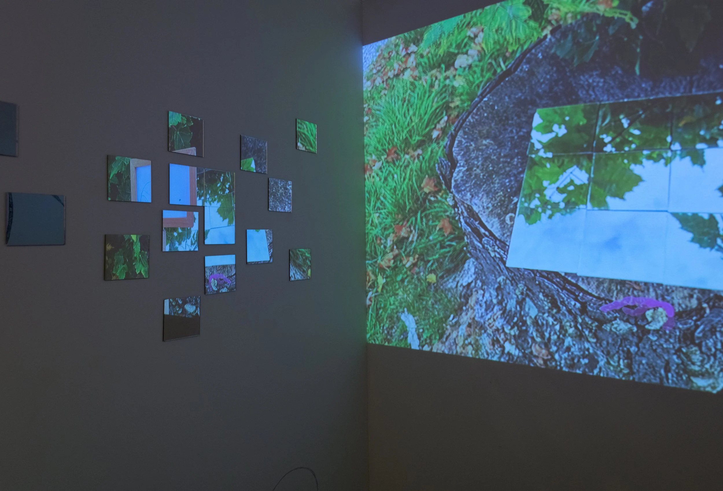 Seen By Water Through Wind - Ambivalently Yours and Stacey Sproule