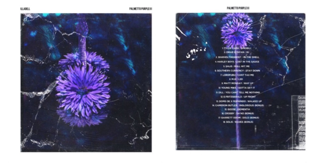 Listen to Purple Palmetto III