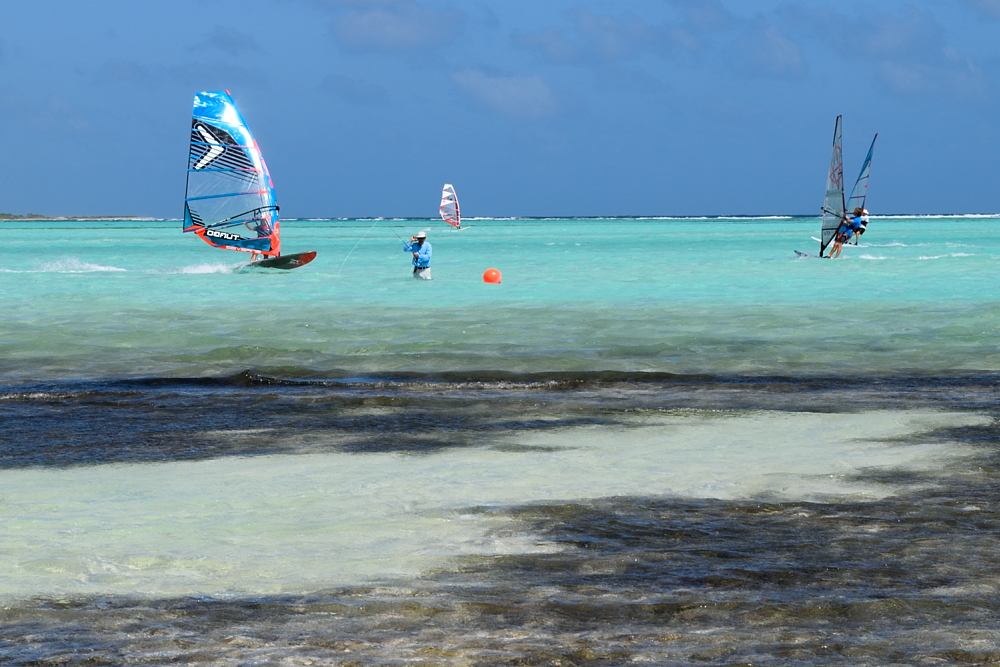 fish windsurf_090.JPG