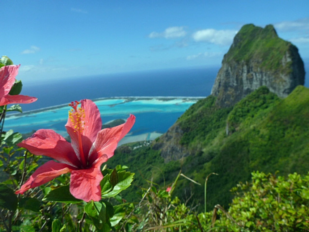 Bora Bora view.jpg