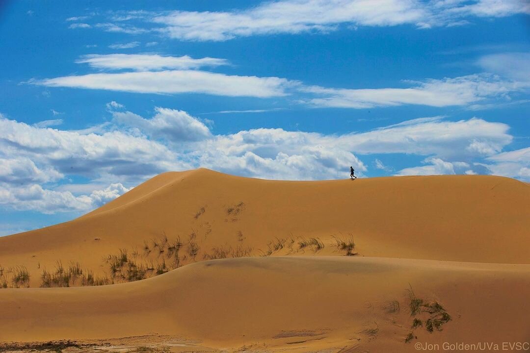 gobi desert.jpg