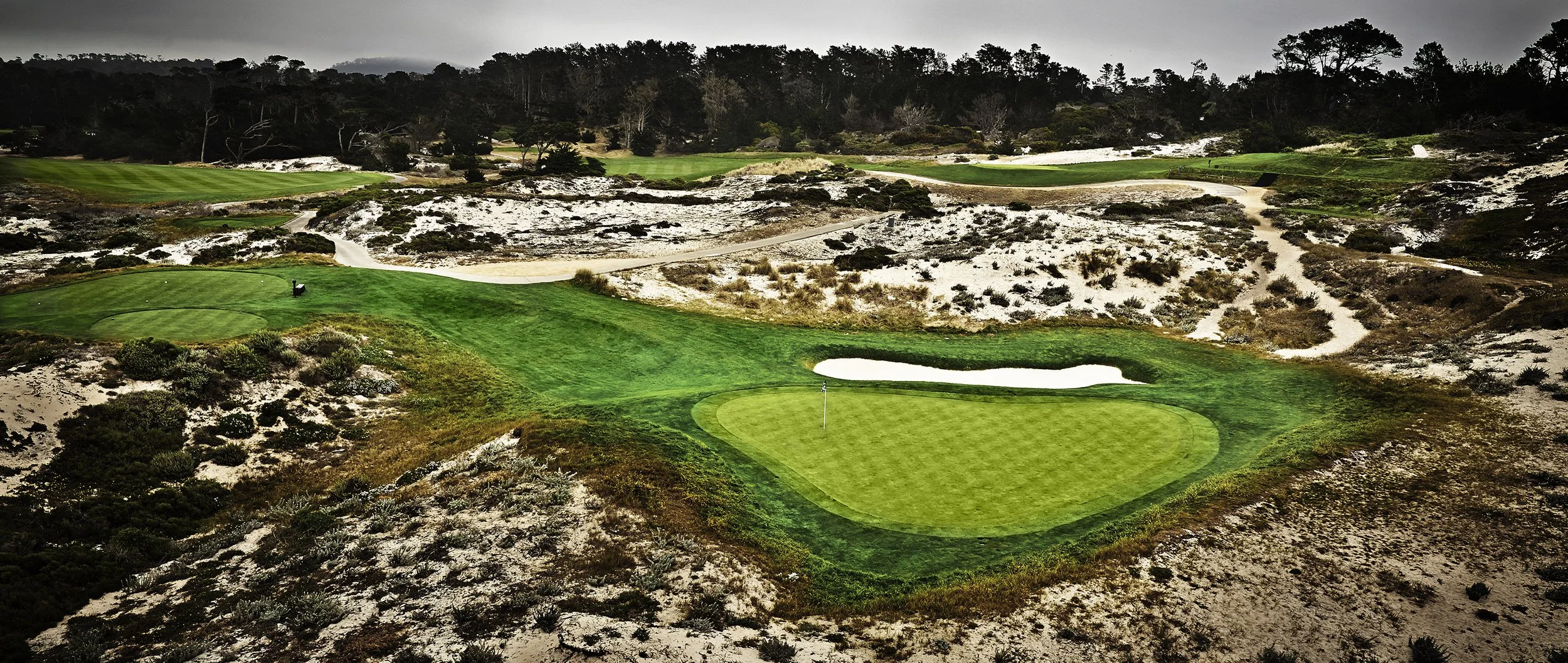BlackSpot_green_02.jpg