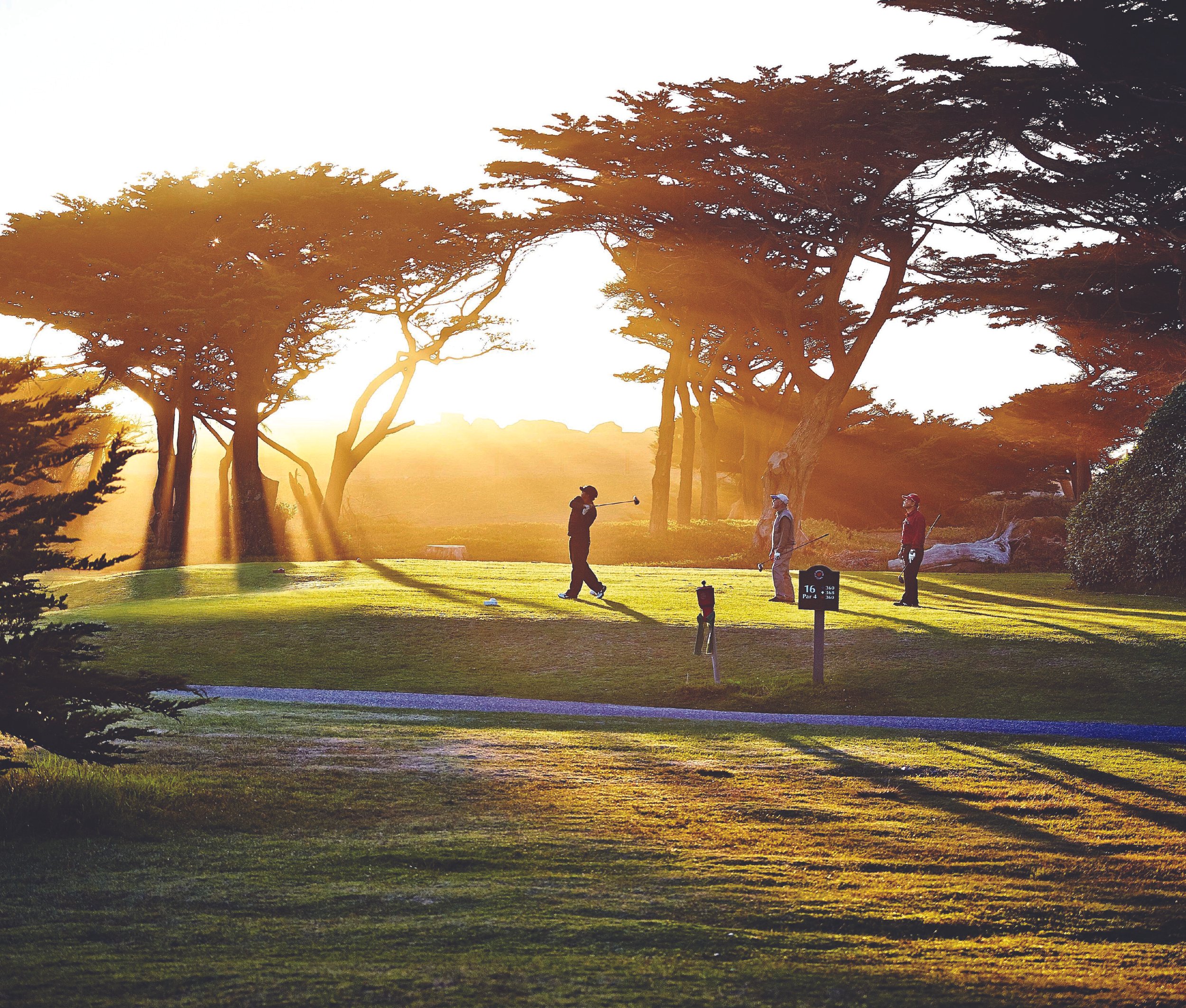AlisterMacKenziesLegacyofPublicGolfatSharpPark-142.jpg