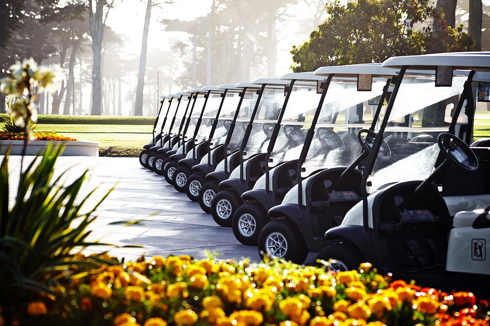 HardingPark_Golf_105.jpg