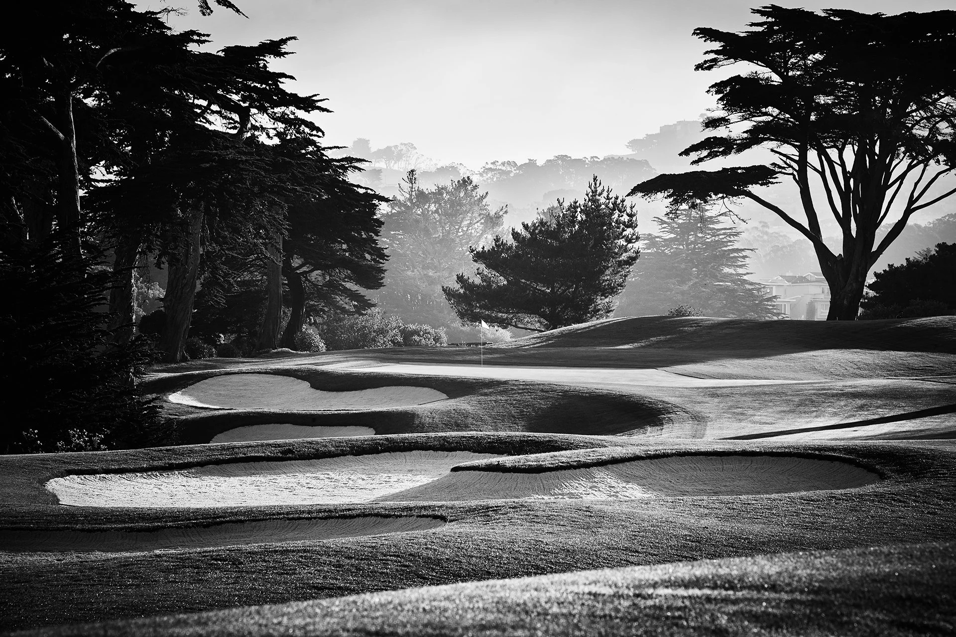 HardingPark_Golf_038.jpg