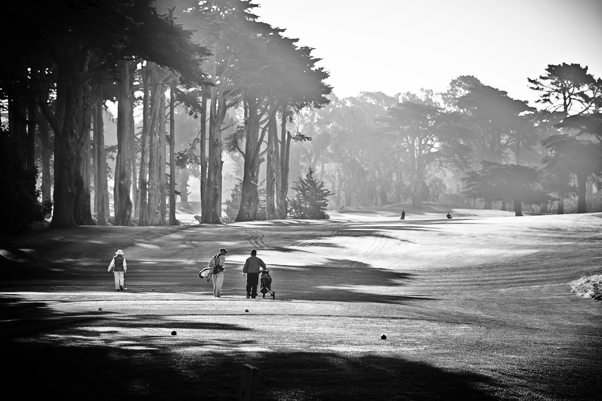 HardingPark_Golf_126.jpg