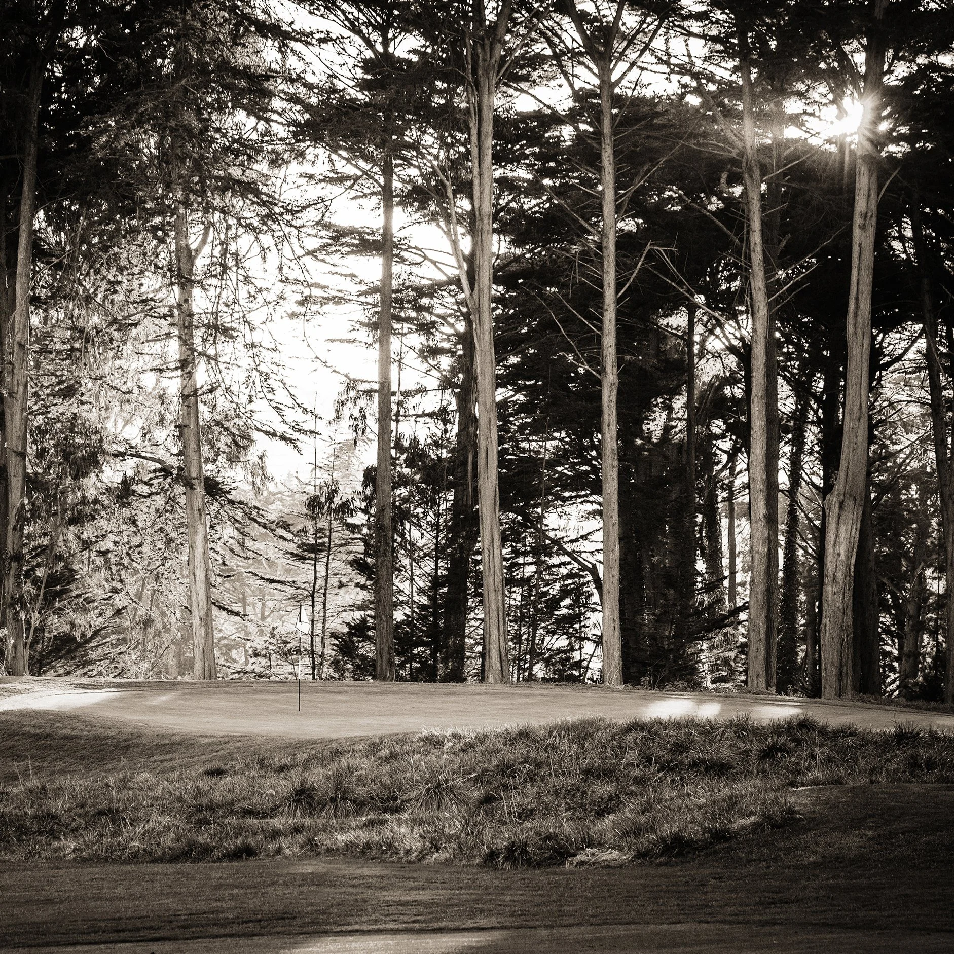 Presidio_8th_green-1bw.jpg