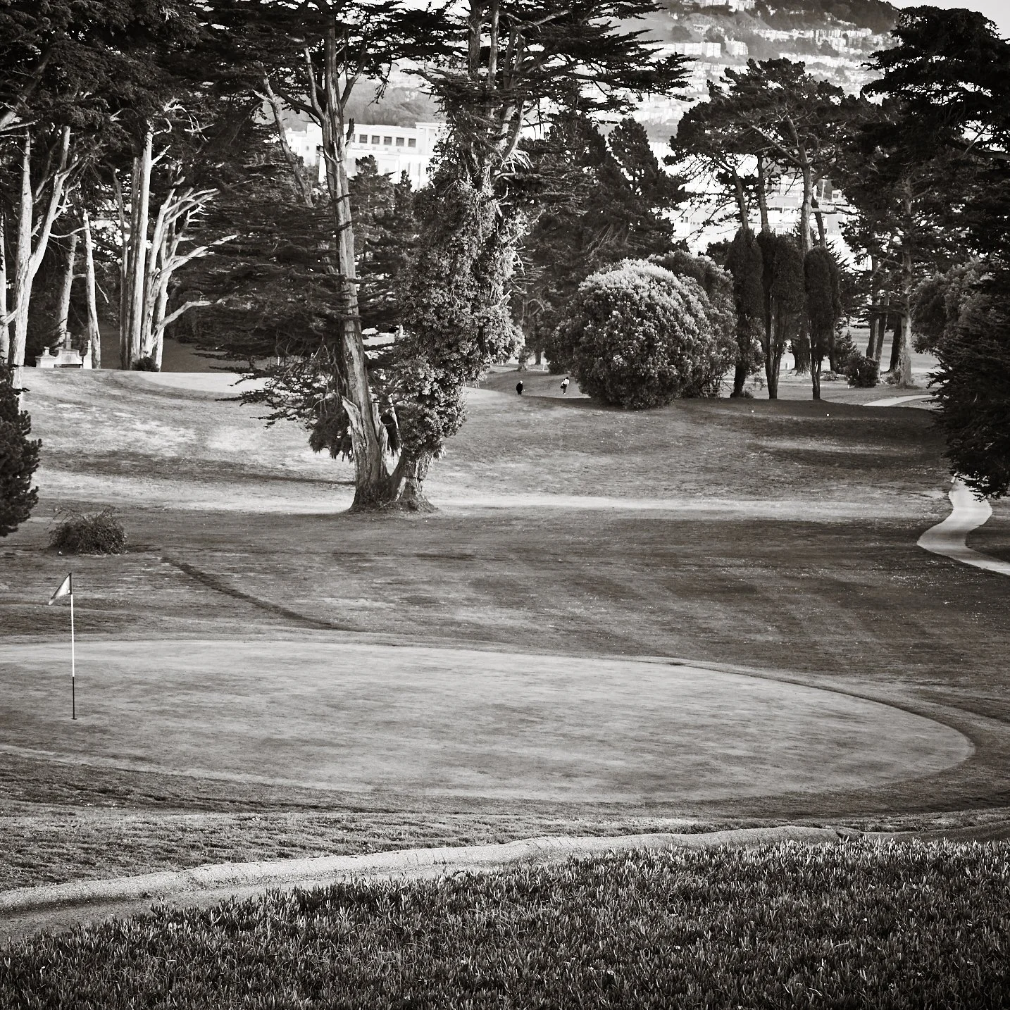 SF_Golf_199.jpg