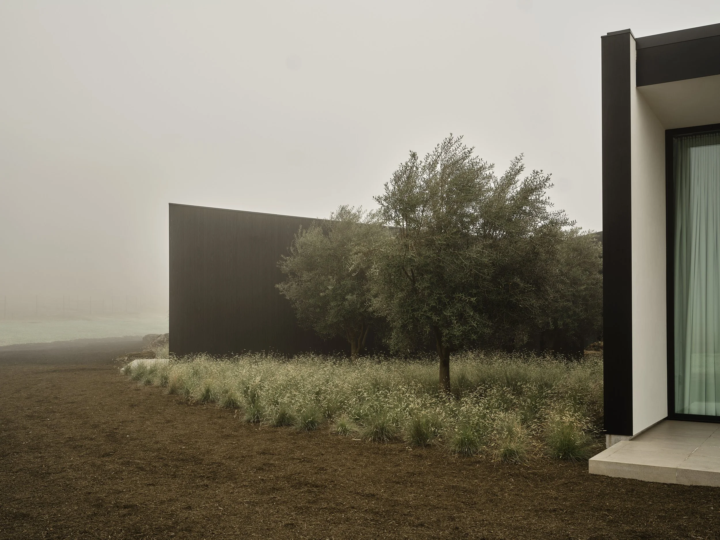 GreenValley_Ext_Fog_05.jpg