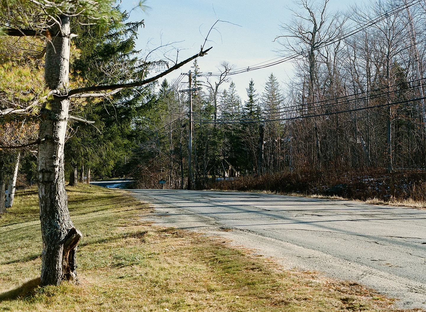 shevakafai-18.jpg