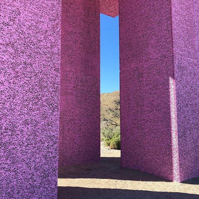Adventure around every corner if you just go out and explore. 💕💗🌵 @_desertx #desertx
