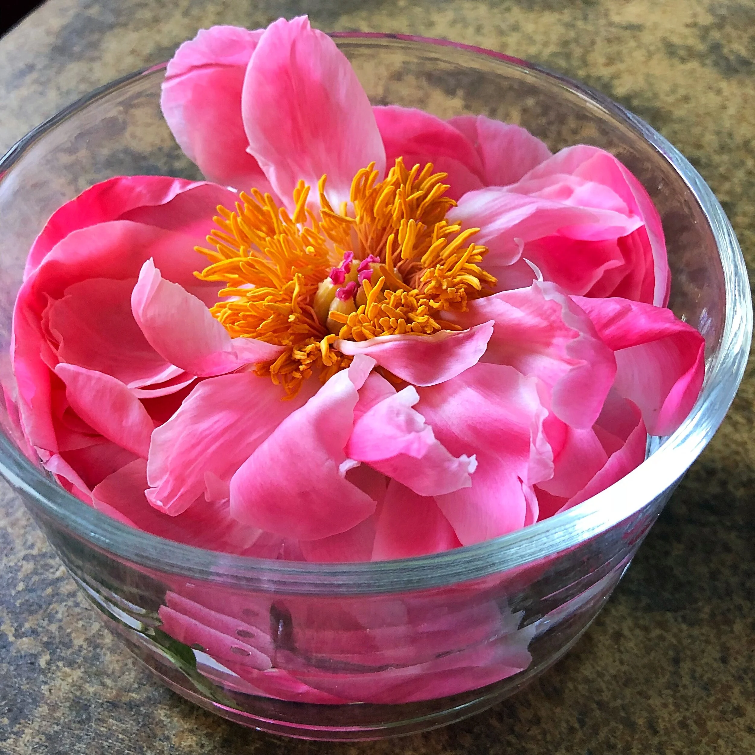 tempImageForSave 45.JPG