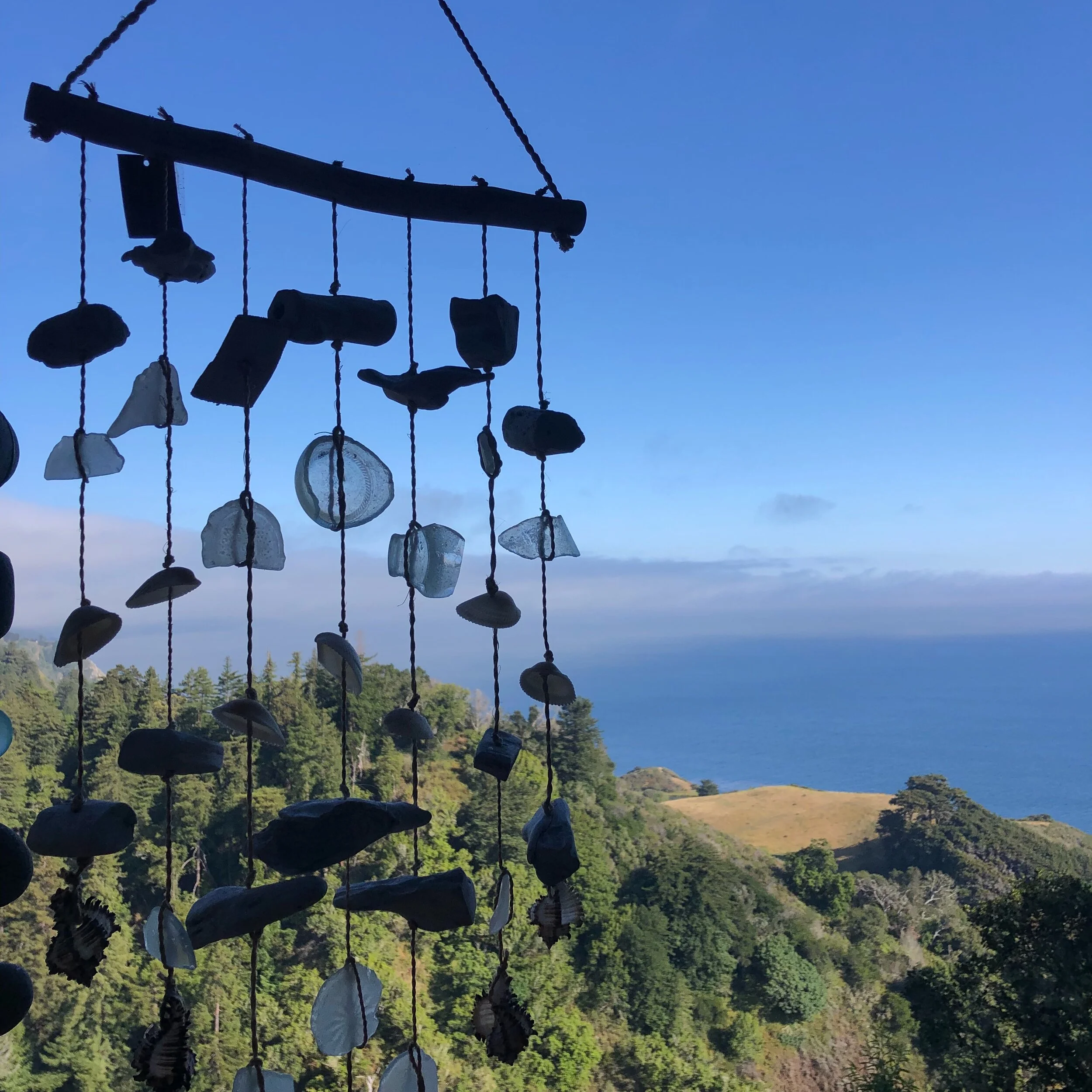 Big Beauty, Big World, BIG SUR