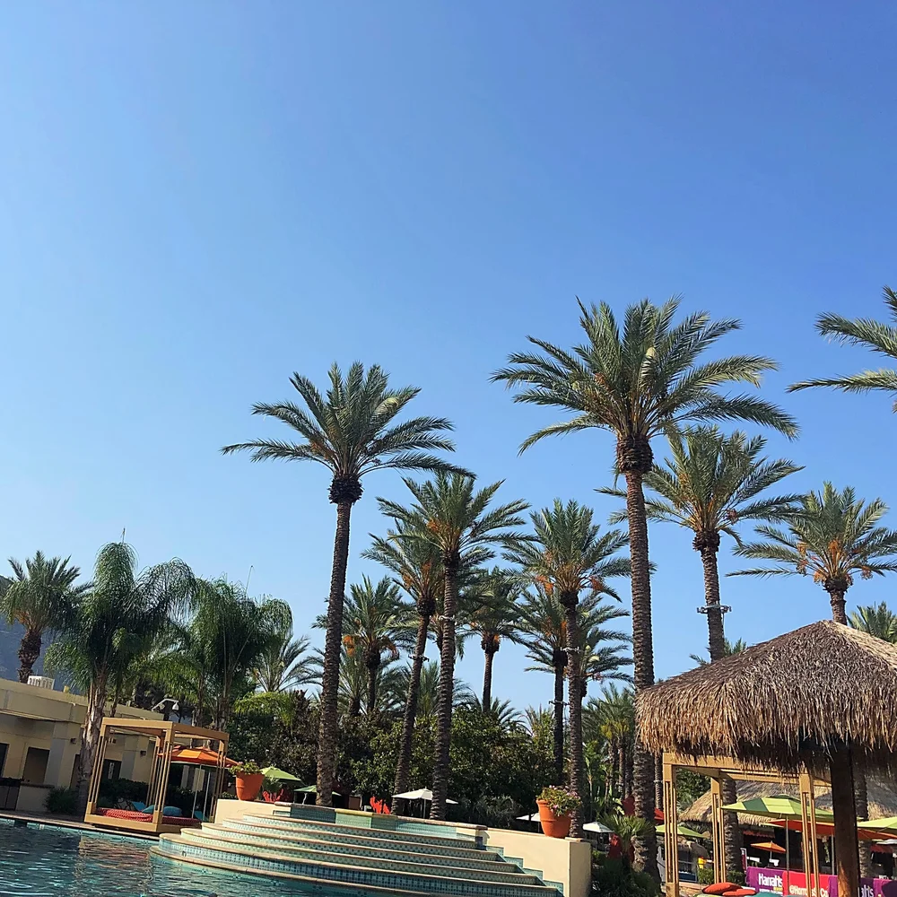 Whitagram-Image 9.JPG