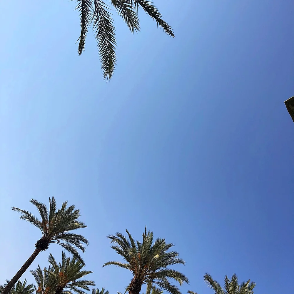 Whitagram-Image 11.JPG