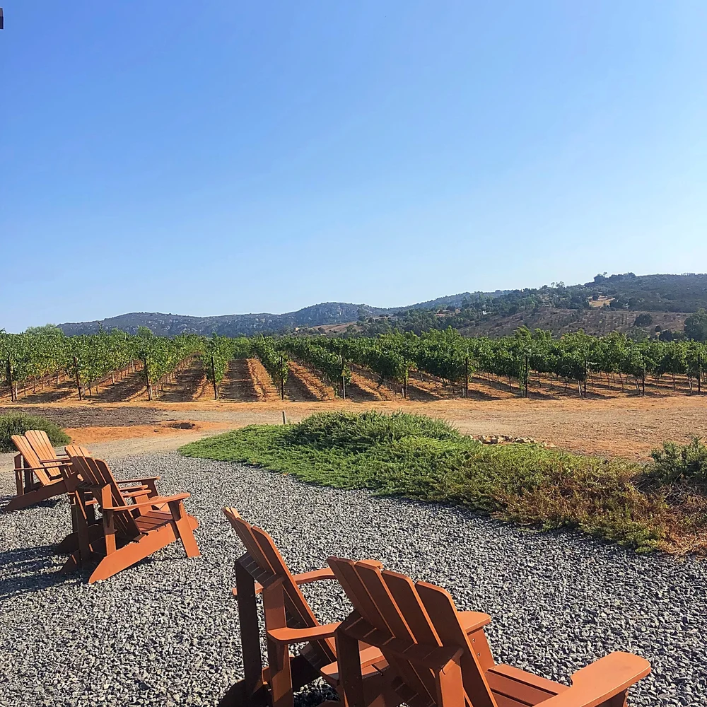 Whitagram-Image 15.JPG