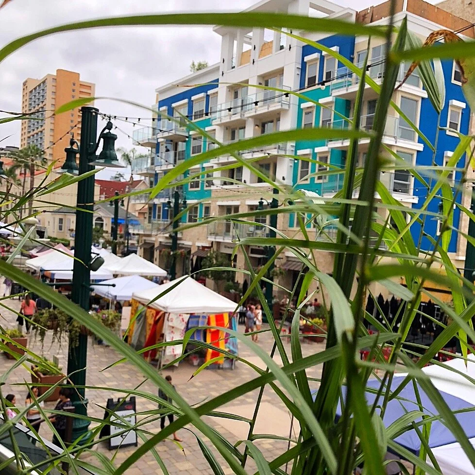 Whitagram-Image 26.JPG