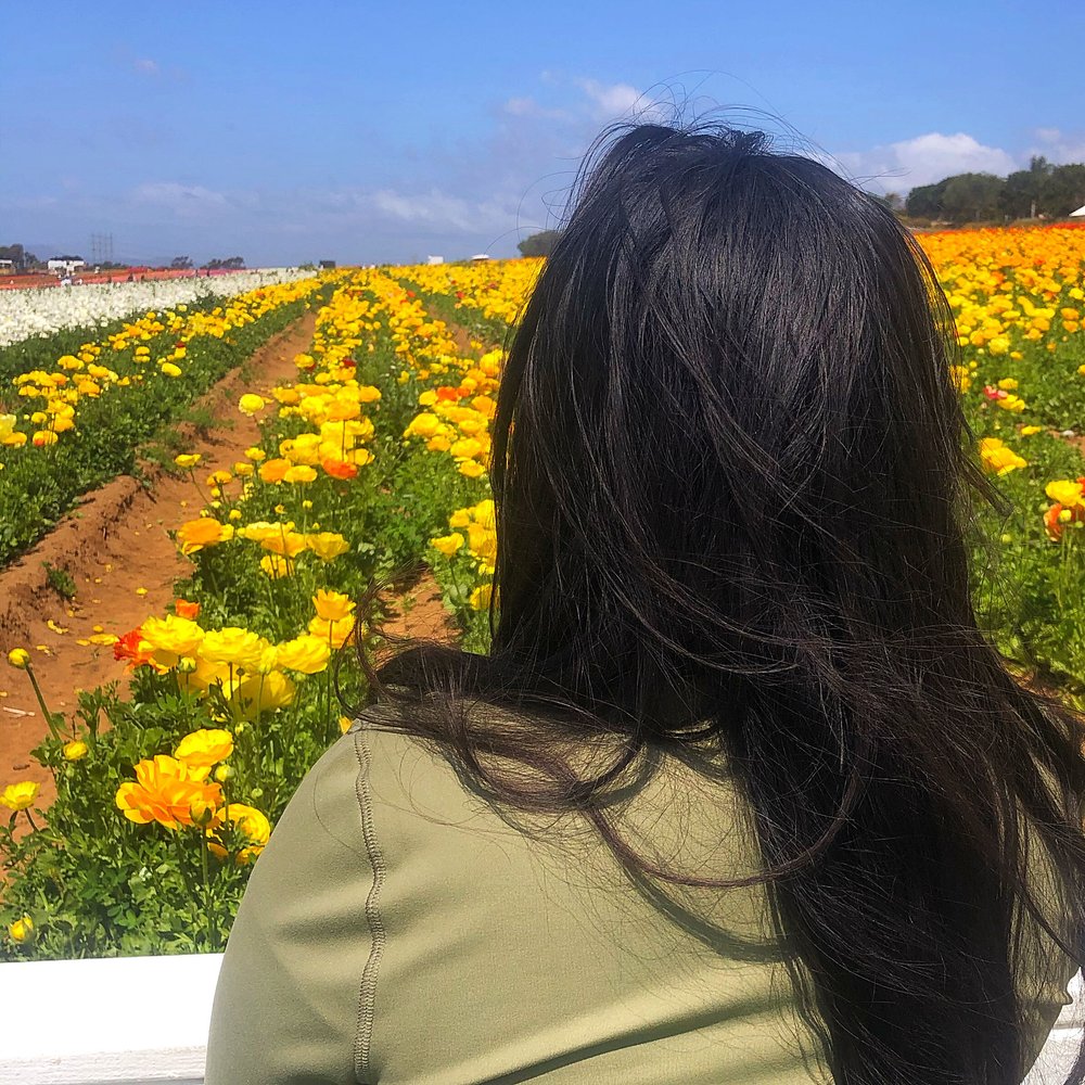 Whitagram-Image 3.JPG